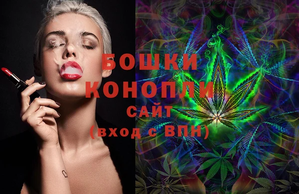ПСИЛОЦИБИНОВЫЕ ГРИБЫ Каменка