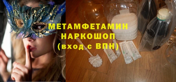 ПСИЛОЦИБИНОВЫЕ ГРИБЫ Каменка