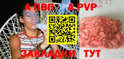 СК Кингисепп