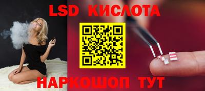 СК Кингисепп