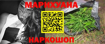 СК Кингисепп