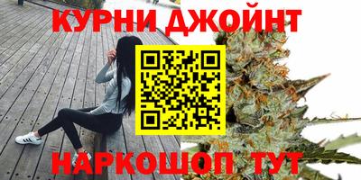 СК Кингисепп