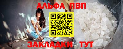 СК Кингисепп