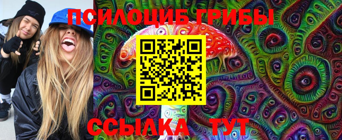 Псилоцибиновые грибы Cubensis Симферополь