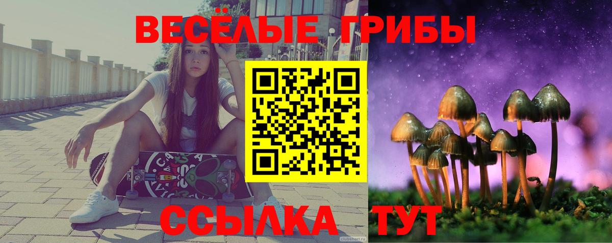 Галлюциногенные грибы Cubensis  Вход с VPN  Симферополь 