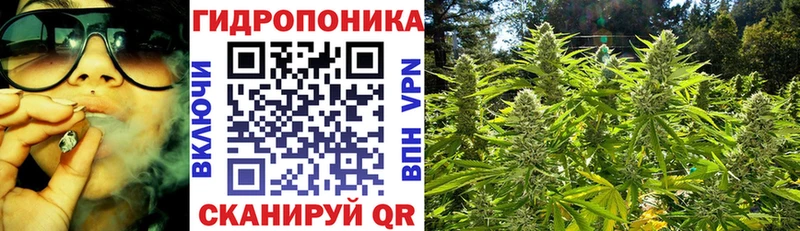 как найти наркотики  МЕГА ONION  Марихуана план  Симферополь 